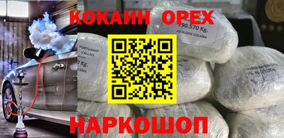 стаф Можга