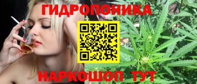стаф Можга
