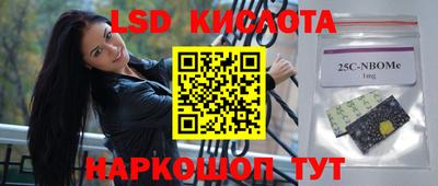 стаф Можга