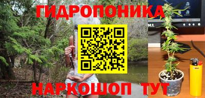 ПСИЛОЦИБИНОВЫЕ ГРИБЫ Моздок