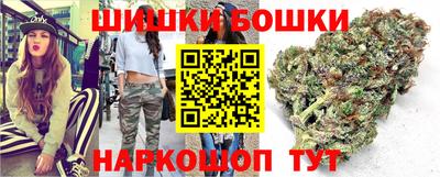 стаф Можга