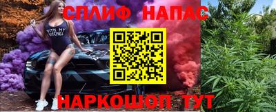 стаф Можга