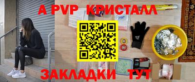 стаф Можга