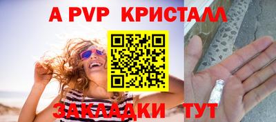 стаф Можга