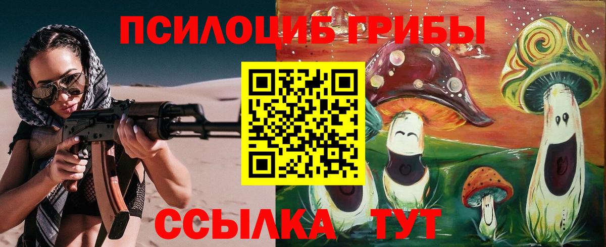Галлюциногенные грибы Magic Shrooms  Вход с VPN  наркота  Вологда 