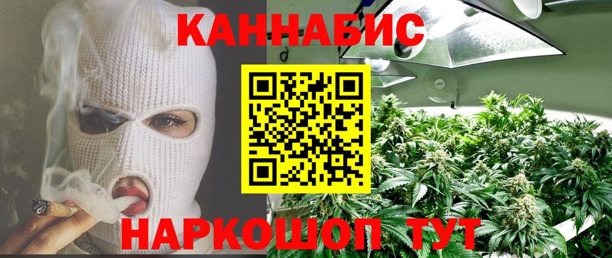 Каннабис сатива  Шишки марихуана сатива  Бошки Шишки SATIVA & INDICA  Вологда  Бошки марихуана план  Вход с VPN 